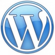 Custom WordPress Websites